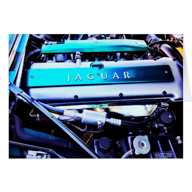 Jaguar-motor (Voorkant Horizontaal)