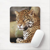 Jaguar Mousepad Muismat (Met muis)