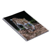 Jaguar Notitieboek (Rechterzijde)