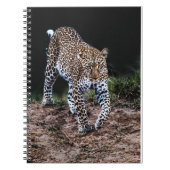 Jaguar Notitieboek (Voorkant)
