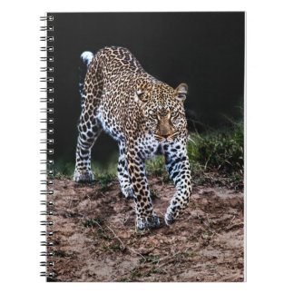Jaguar Notitieboek