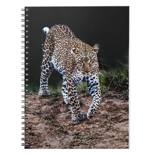 Jaguar Notitieboek (Voorkant)