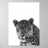 Jaguar Oerwoud Modern Portret zwart wit Poster (Voorkant)