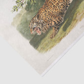 Jaguar of North America (1845) Ontkoppeling Tissuepapier (Detail)