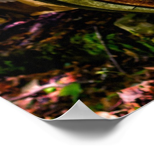 Jaguar Old Car  Poster (Hoek)