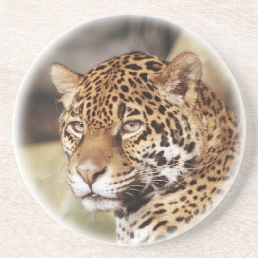 Jaguar Onderzetter (Voorkant)