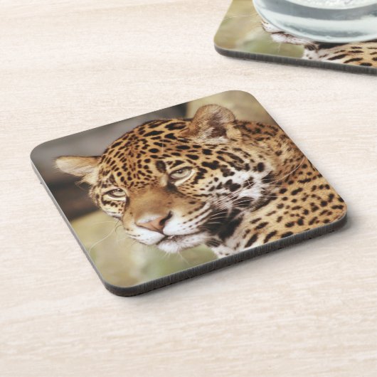 Jaguar Onderzetter Set (Linkerzijde)