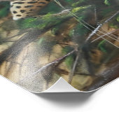 Jaguar op jacht foto afdruk (Hoek)