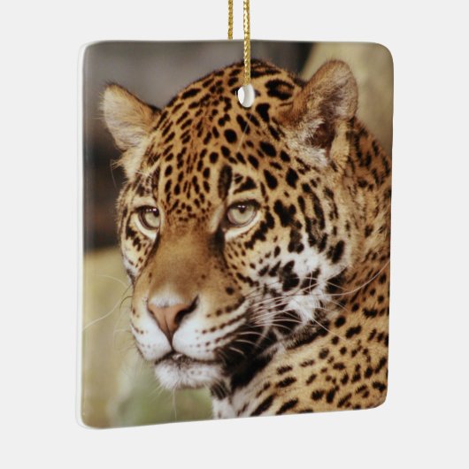 Jaguar Ornament (Rechts)