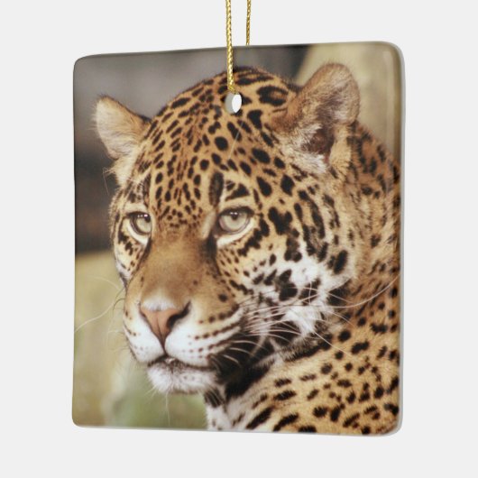 Jaguar Ornament (Links)