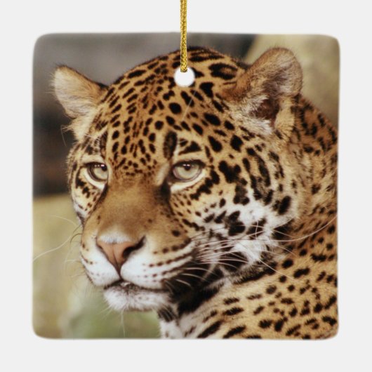 Jaguar Ornament (Achterkant)