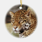Jaguar Ornament (Voorkant)