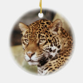 Jaguar Ornament (Achterkant)