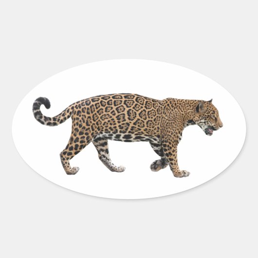 Jaguar Ovale Sticker (Voorkant)