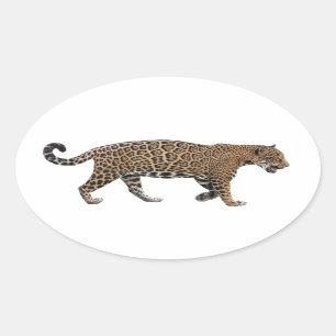 Jaguar Ovale Sticker