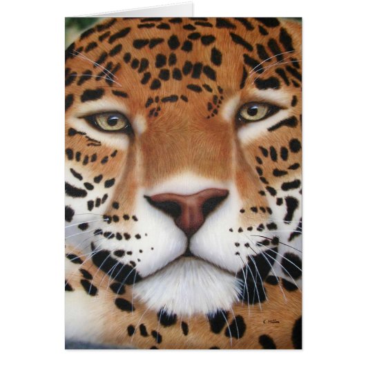 Jaguar Painting (Voorkant)