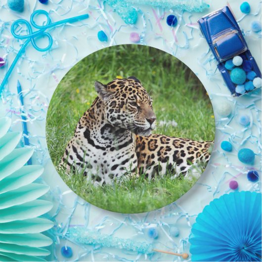 Jaguar Papieren Bordje (Feest)