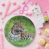 Jaguar Papieren Bordje (Feest)