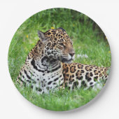 Jaguar Papieren Bordje (Voorkant)