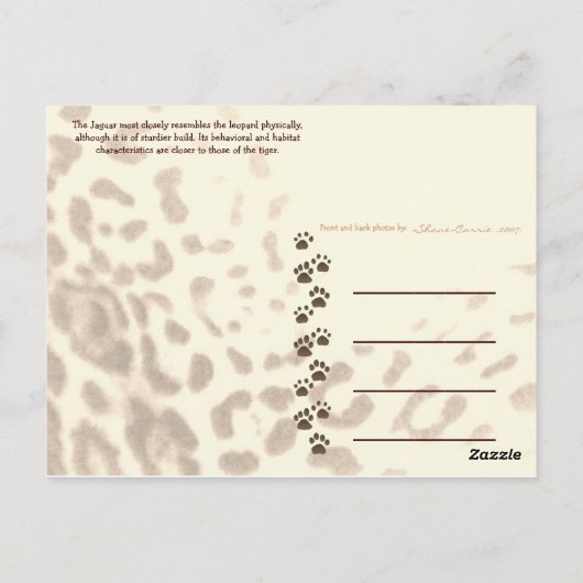 JAGUAR-PAW BACK-IMG_2914 -Shane-Carrie Briefkaart (Achterkant)