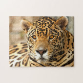 Jaguar Photo Legpuzzel (Horizontaal)