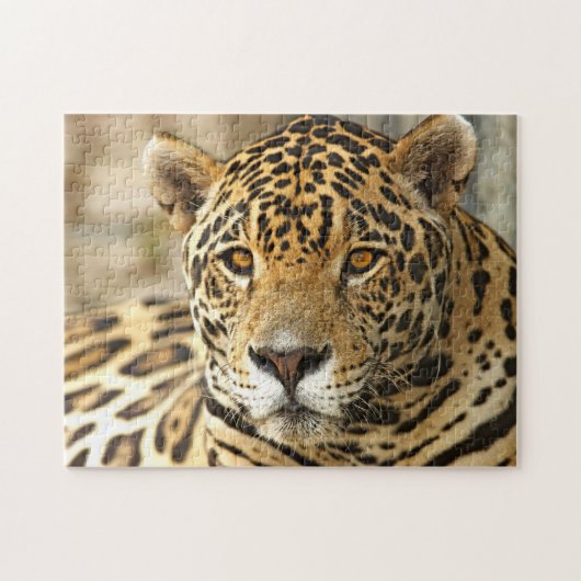 Jaguar Photo Legpuzzel (Horizontaal)