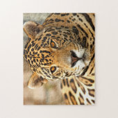 Jaguar Photo Legpuzzel (Verticaal)