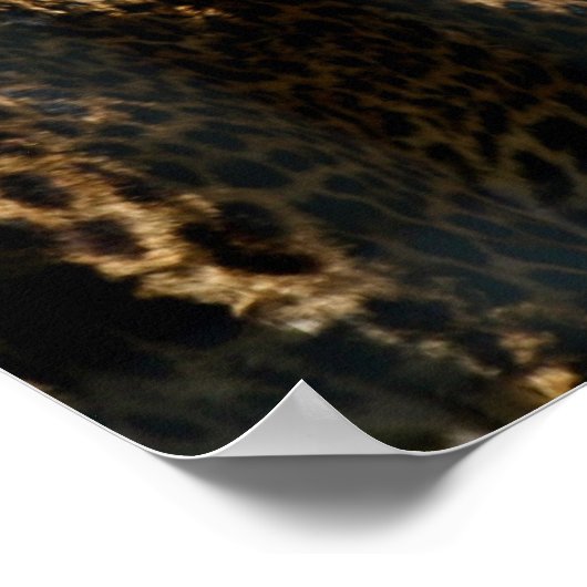 Jaguar Photo Print (Hoek)