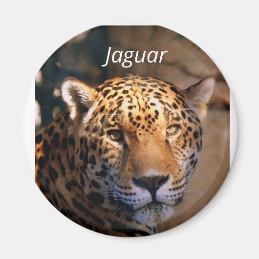 Jaguar photomagnet magneet (Voorkant)