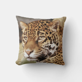 Jaguar Pillow Kussen