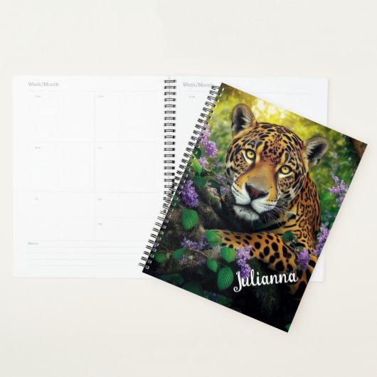 Jaguar Planner (Display)