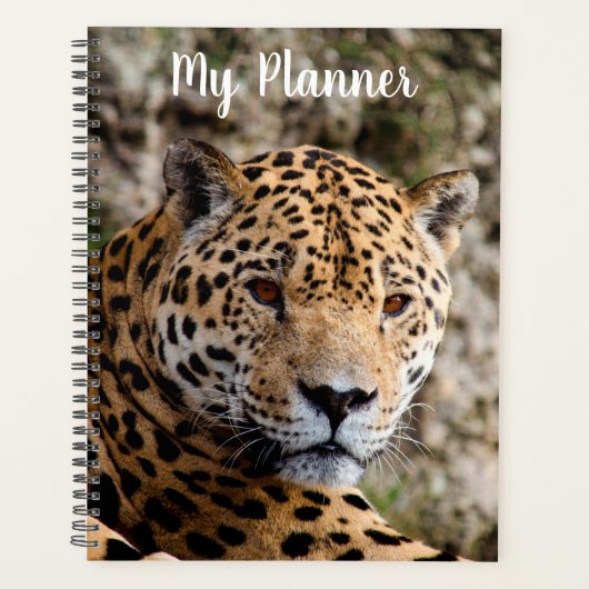 Jaguar Planner (Voorkant)