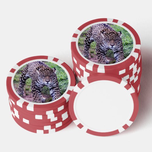 Jaguar Poker Chips (Opstapeling)