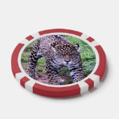 Jaguar Poker Chips (Enkel)