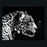 Jaguar Pop Art Poster<br><div class="desc">Posters voor zwarte en witte jaguar - Pop Art Jaguar-Afbeelding - Grote wilde katten - Het hoofd van de Jaguar - Gezicht van Jaguar</div>