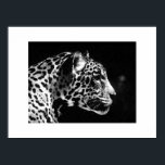 Jaguar Pop Art Poster Print - Jaguar Posters<br><div class="desc">Posters voor zwarte en witte jaguar - Pop Art Jaguar-Afbeelding - Grote wilde katten - Het hoofd van de Jaguar - Gezicht van Jaguar</div>
