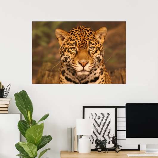 Jaguar Poster (Thuiskantoor)