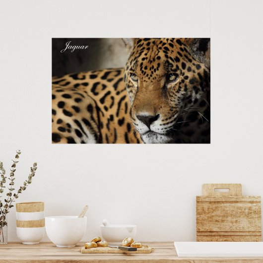 Jaguar Poster (Keuken)