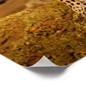 Jaguar Poster (Hoek)