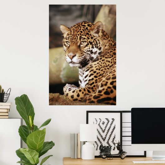 Jaguar Poster (Thuiskantoor)