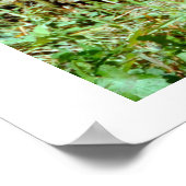 Jaguar Poster (Hoek)