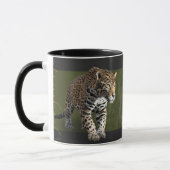 Jaguar Power Mokken (Links)