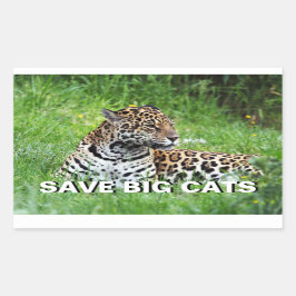 Jaguar Rechthoekige Sticker