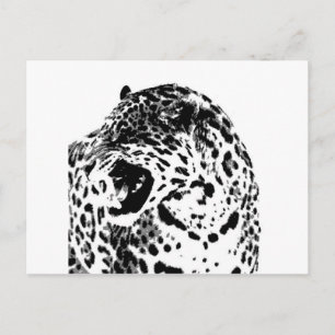 Jaguar Roaring Briefkaart