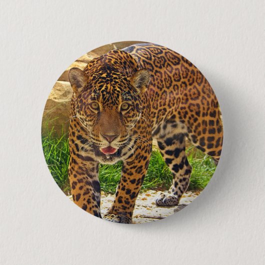 Jaguar Ronde Button 5,7 Cm (Voorkant)