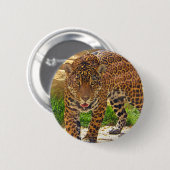 Jaguar Ronde Button 5,7 Cm (Voorkant /achterkant)