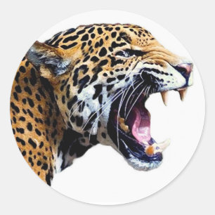 jaguar ronde sticker
