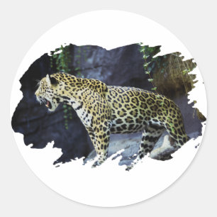 Jaguar Ronde Sticker