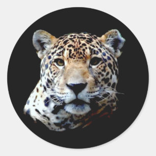 Jaguar Ronde Sticker