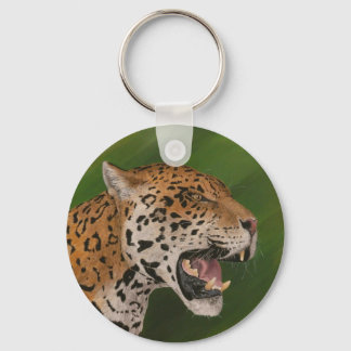 Jaguar Sleutelhanger